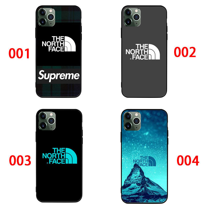 ザノースフェイスXperia 1 VI vii カバー