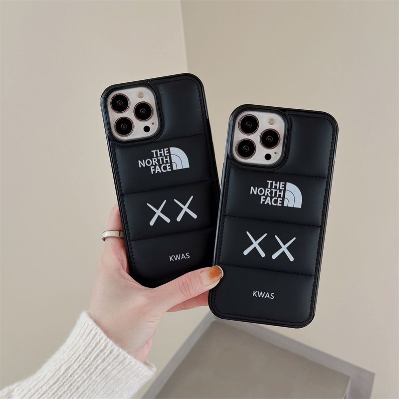 the north face�A�C�t�H��18 pro�P�[�X�j�����p